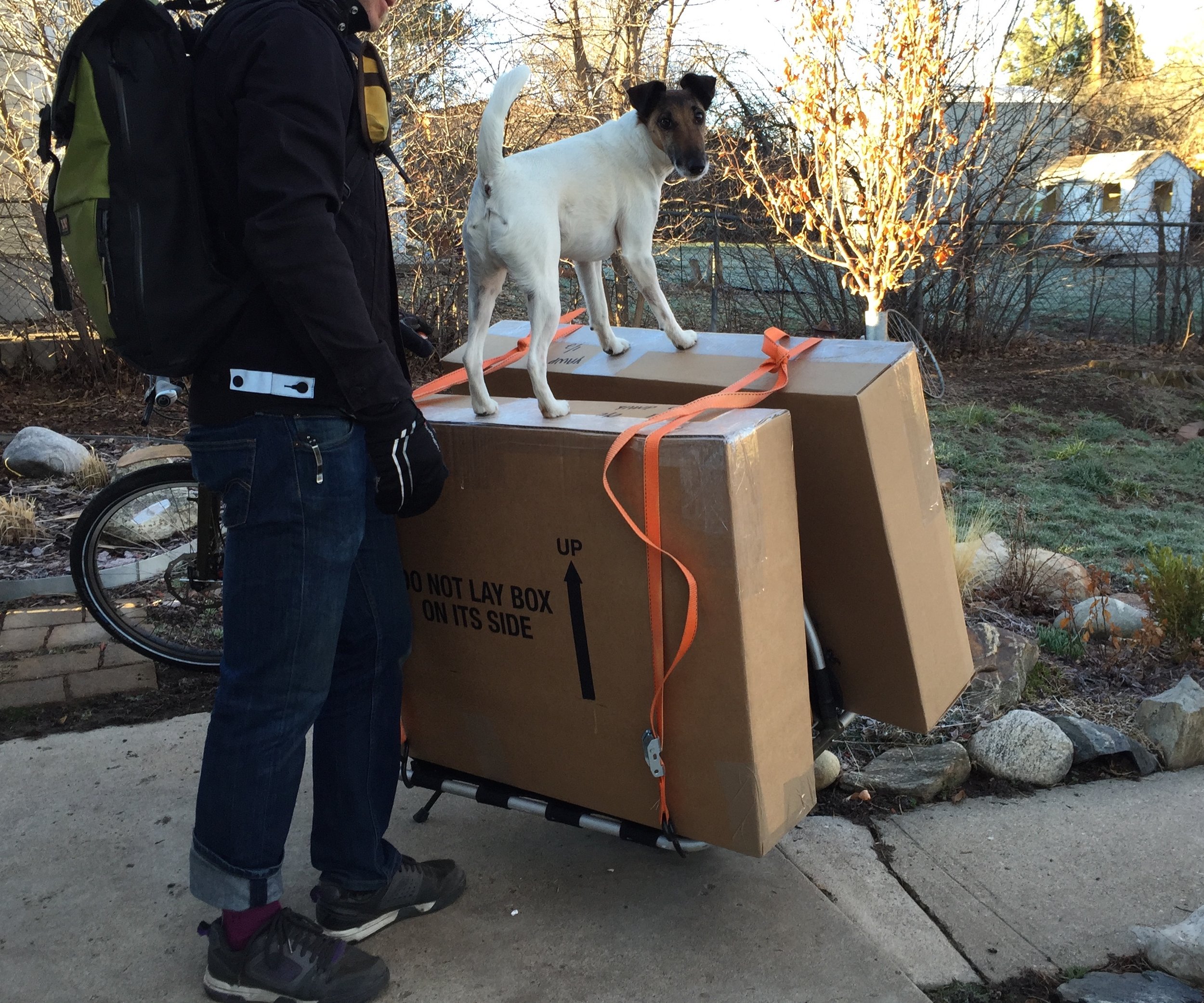 Big Dummy, little dummy.