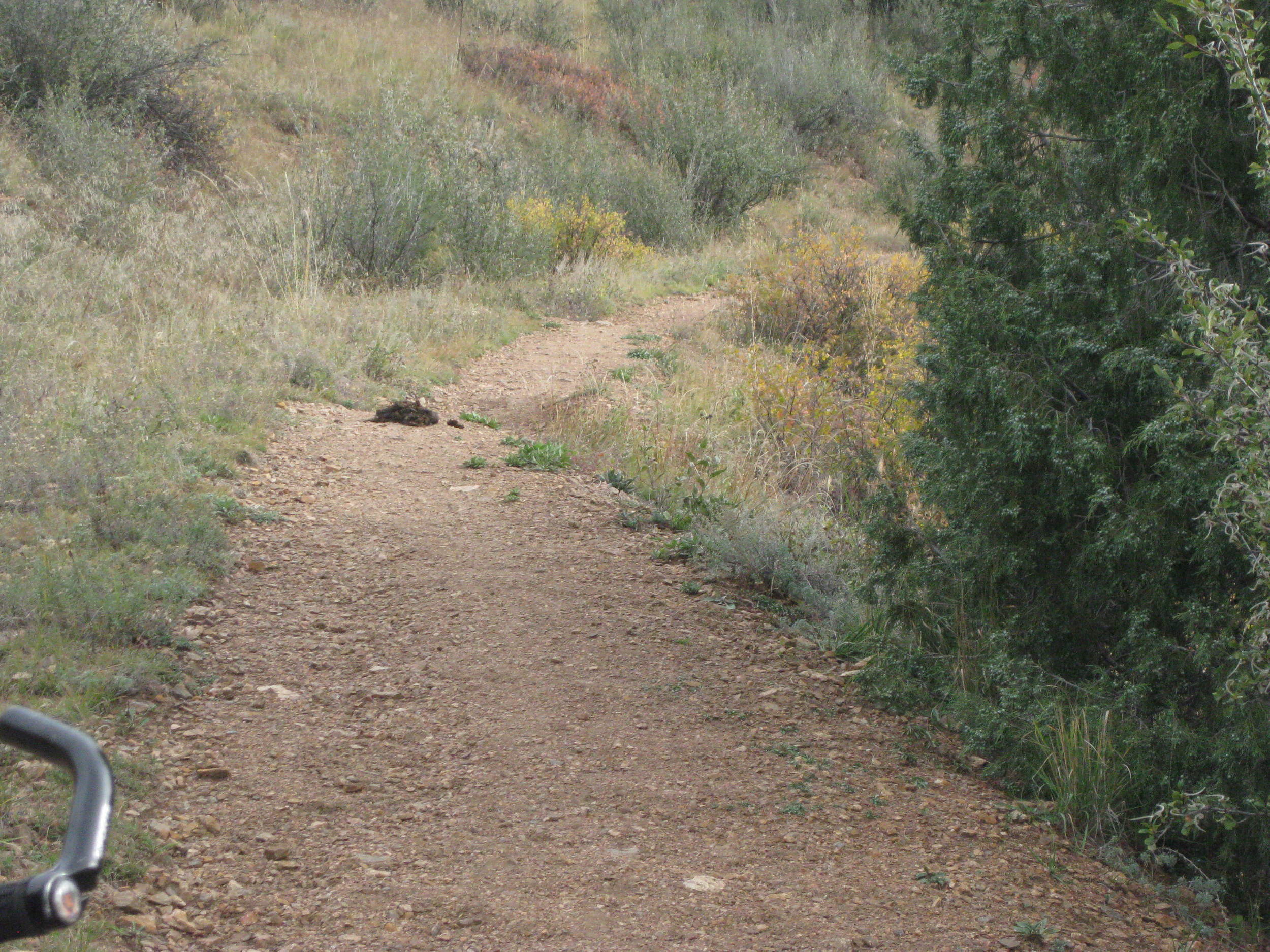 Even the bears lighten up for this climb.