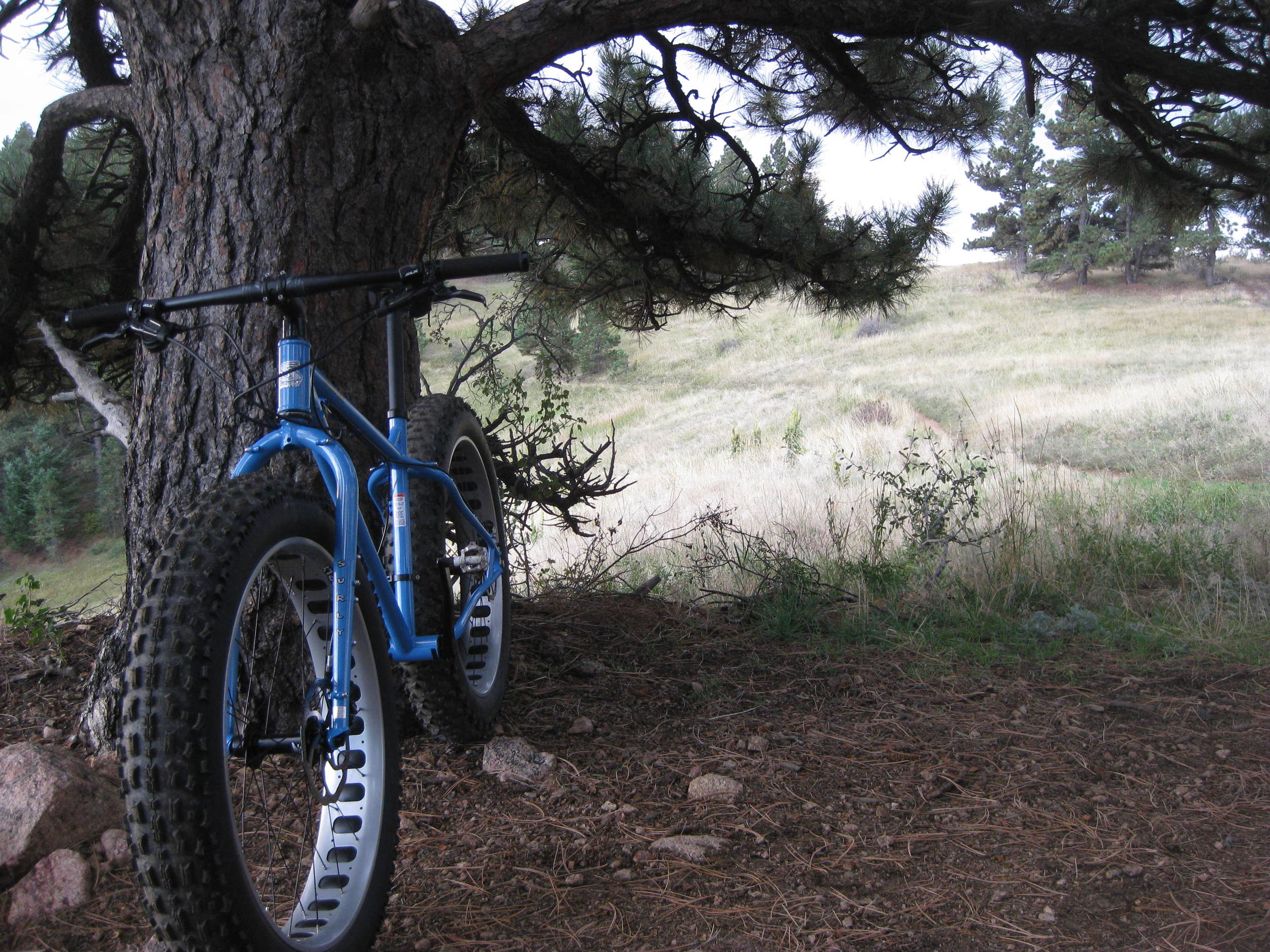 Does Surly's Ice Cream Truck Deliver the Sprinkles?