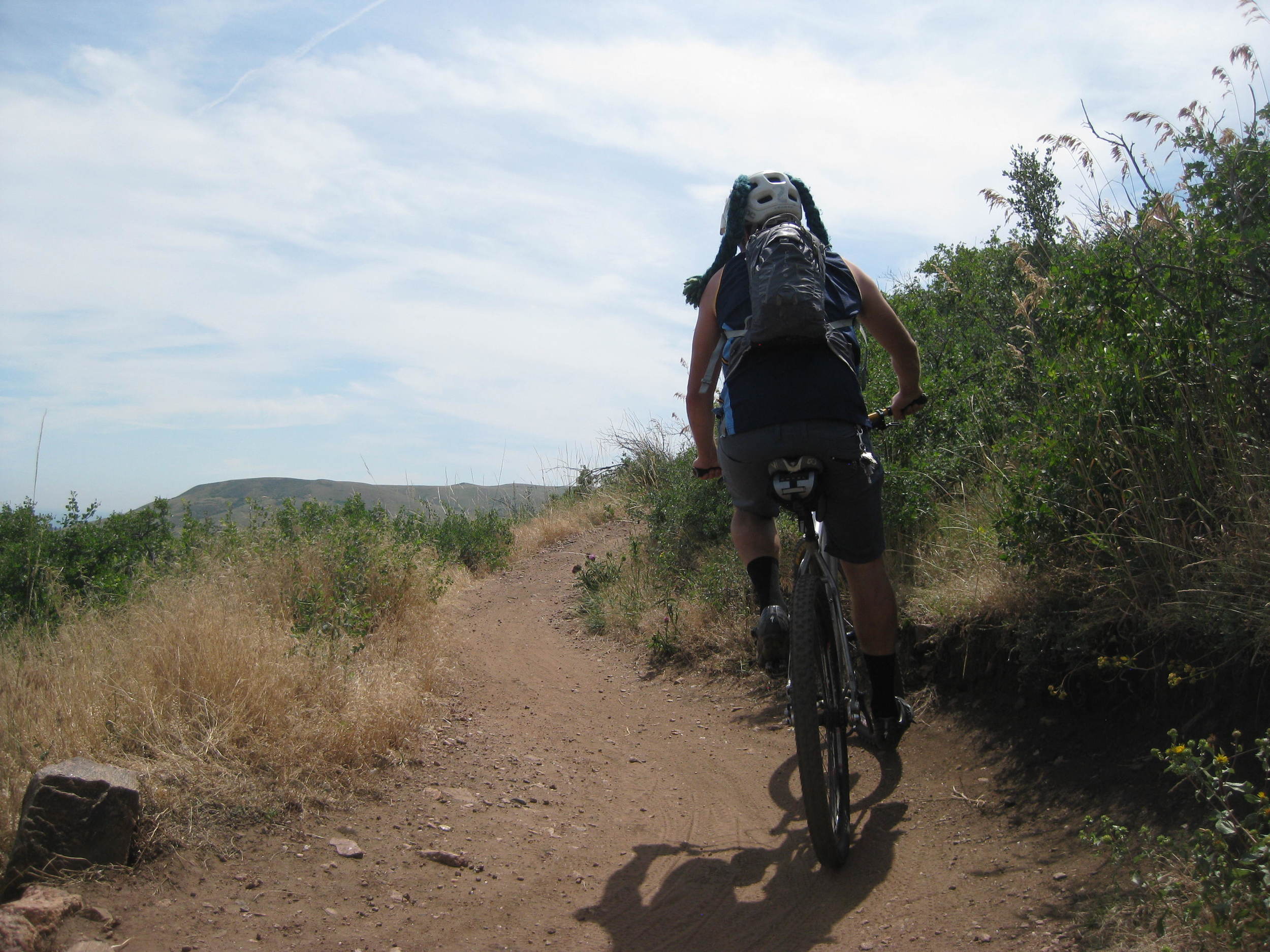 He whips his hair back and forth (whips it real good).