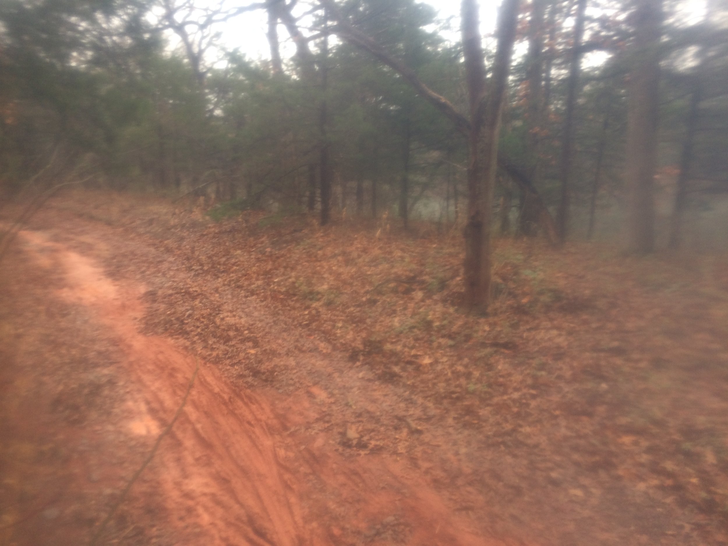 Land Run 100 and Beckett's 'How It Is'