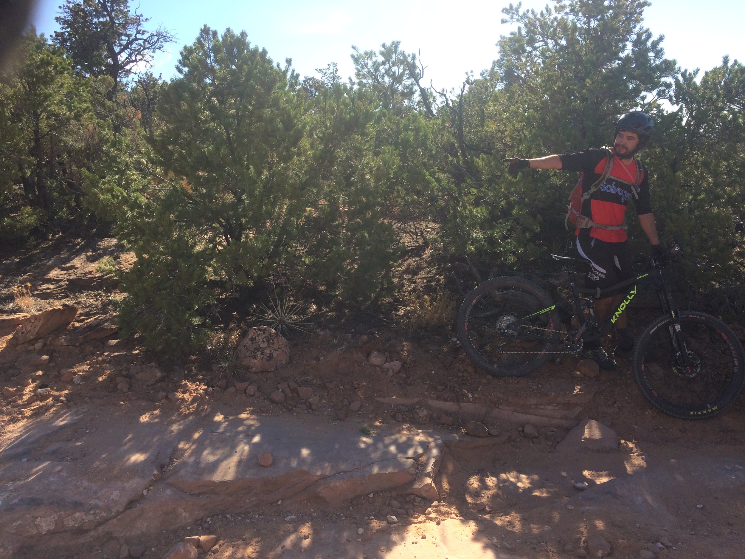 If to Starbuck the apparition of the Squid was a thing of portents, to Queequeg it was quite a different object.