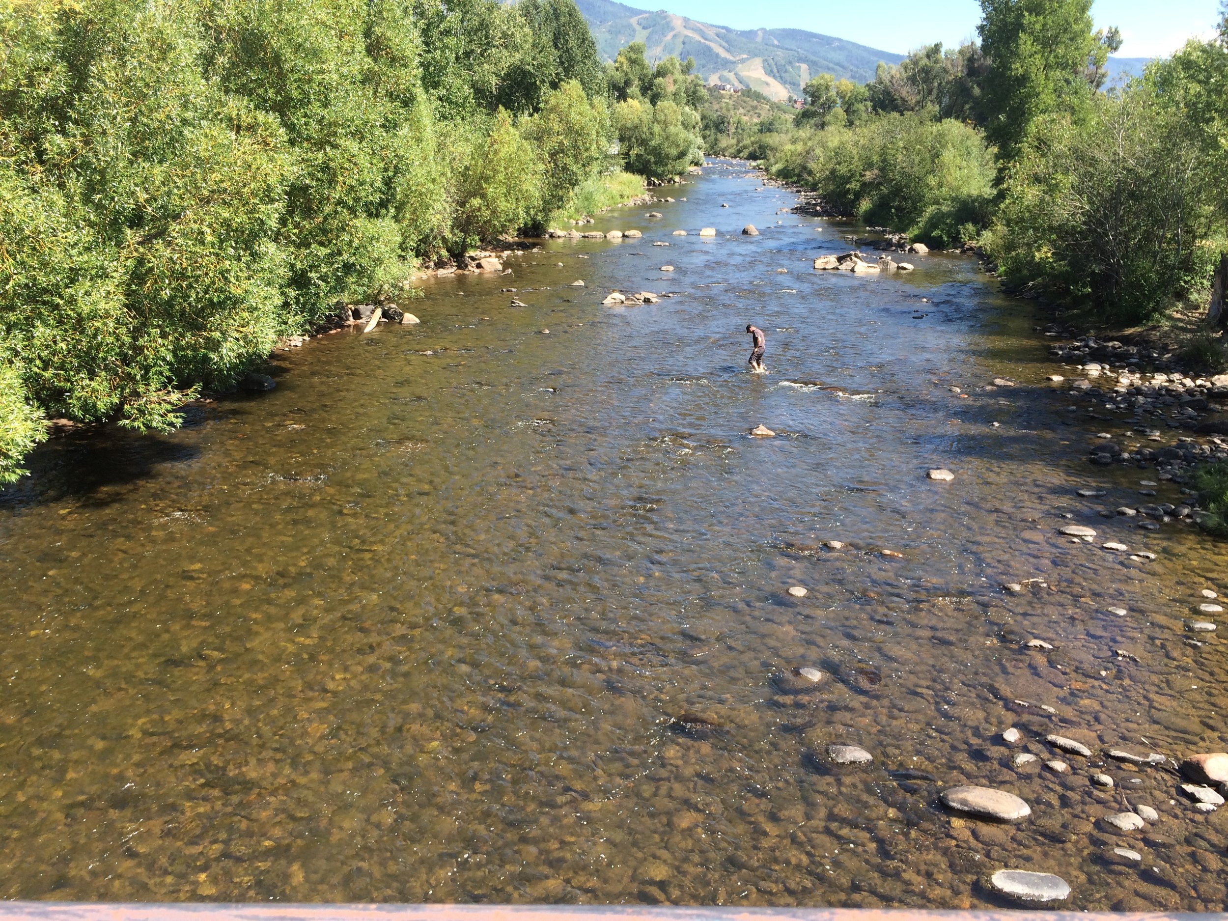 Ian is in the river. This will surprise no one.