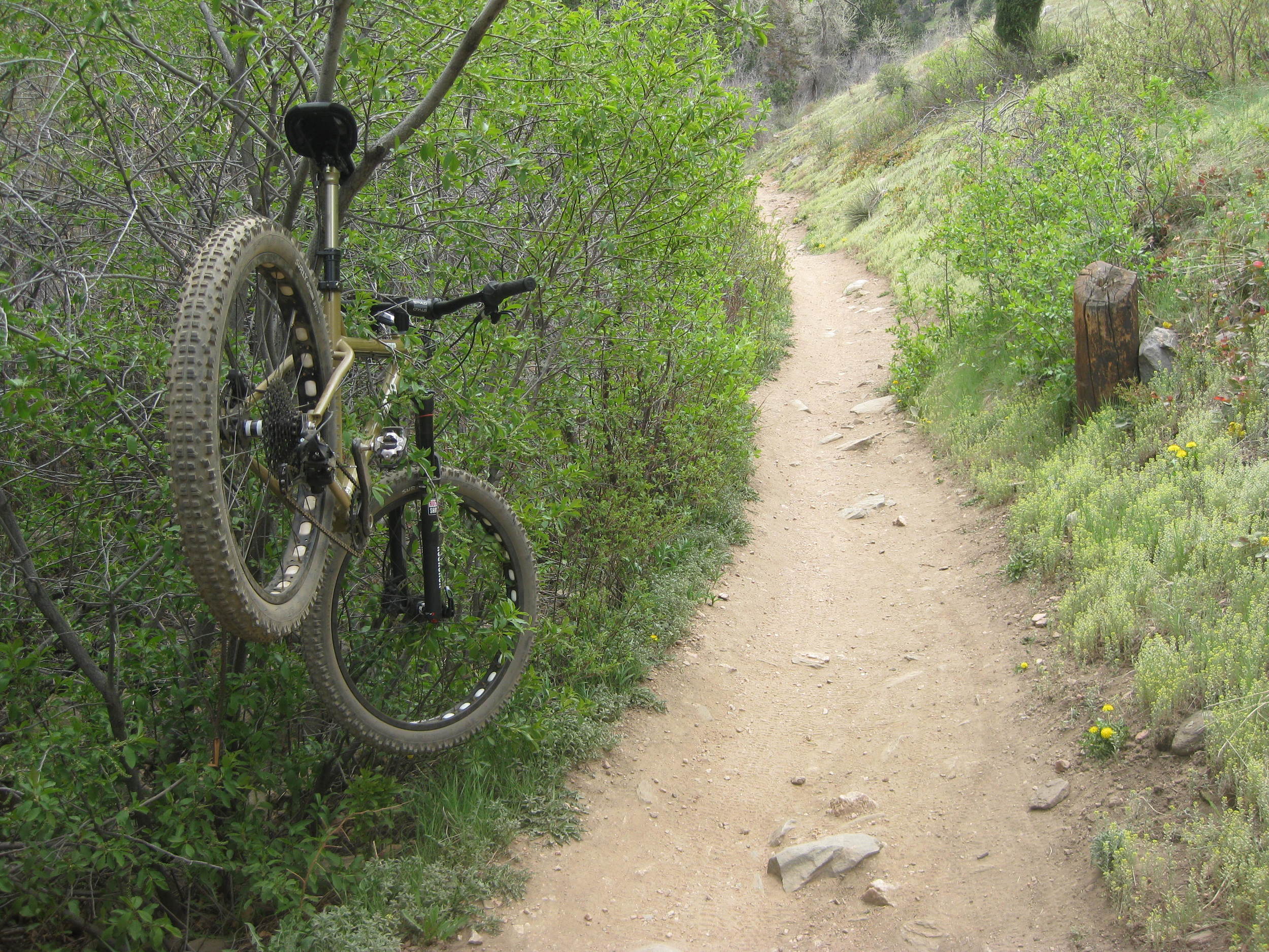 Flat repair in, um, yes, Golden.