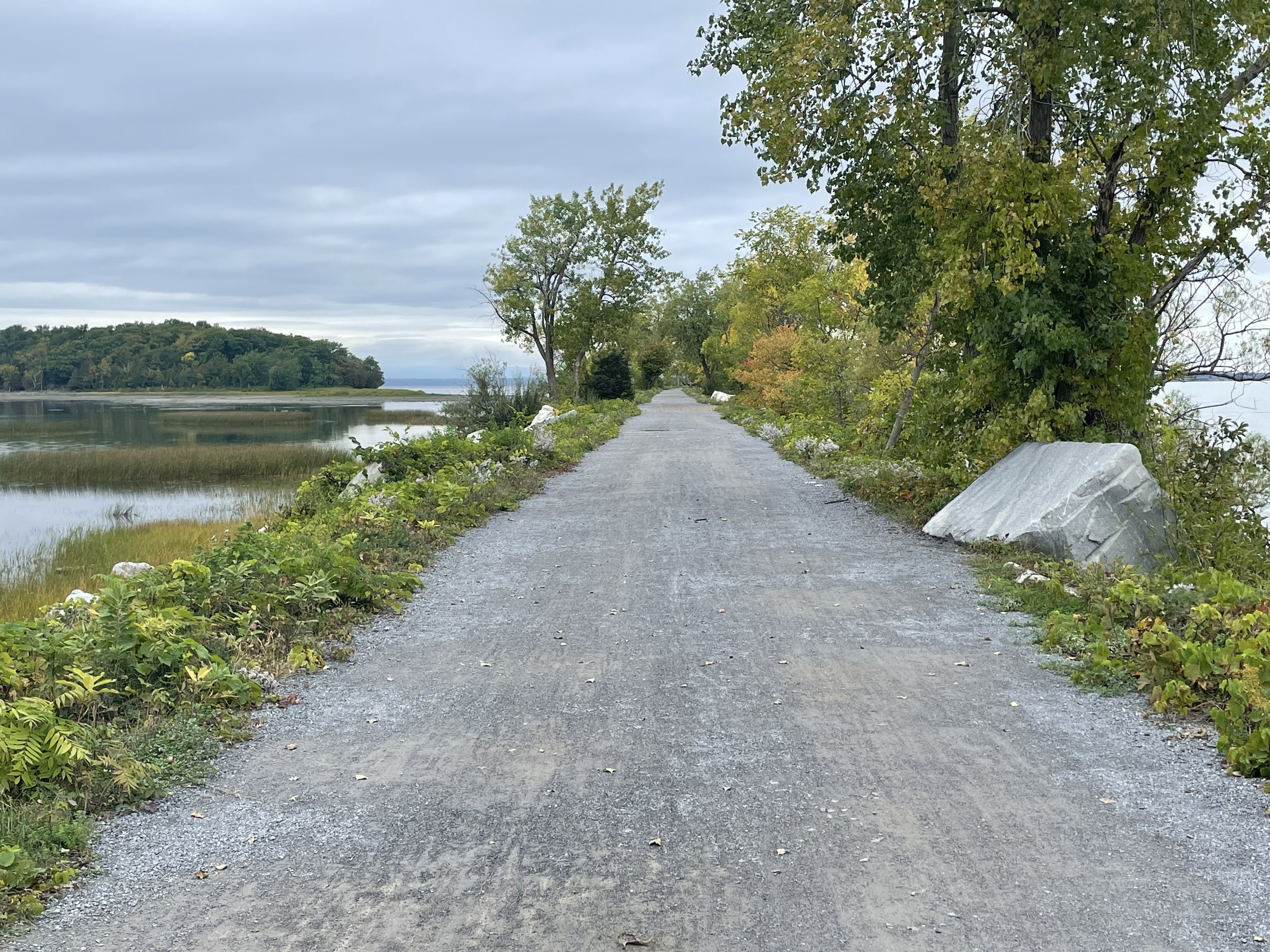 Getting Used to Weirdness; the State of Our Tiny Corner of the Bike Industry