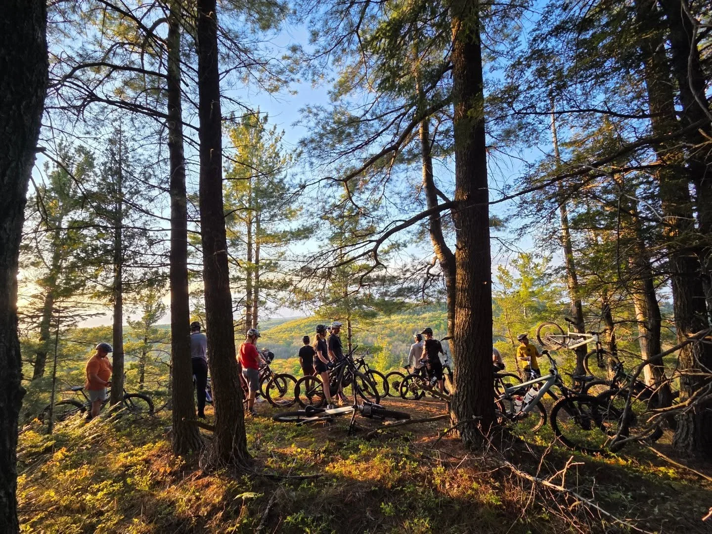 Interested in joining our team?