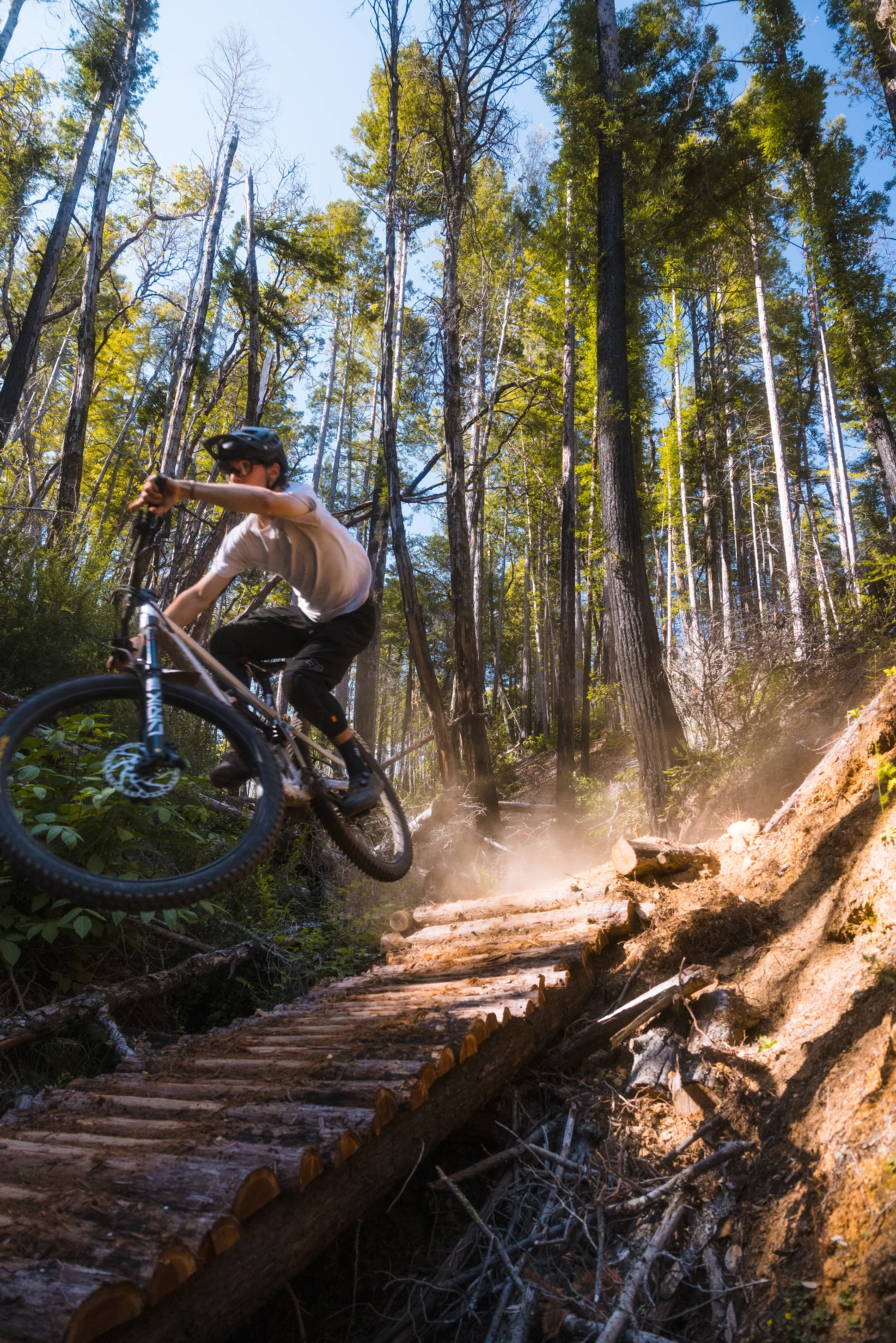 Dialed by People Who Ride
