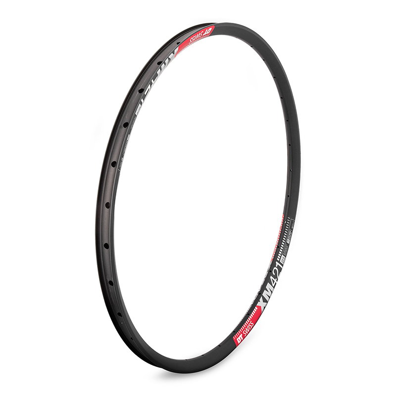 DT Swiss XM 421 Rim - Disc Black variant 2