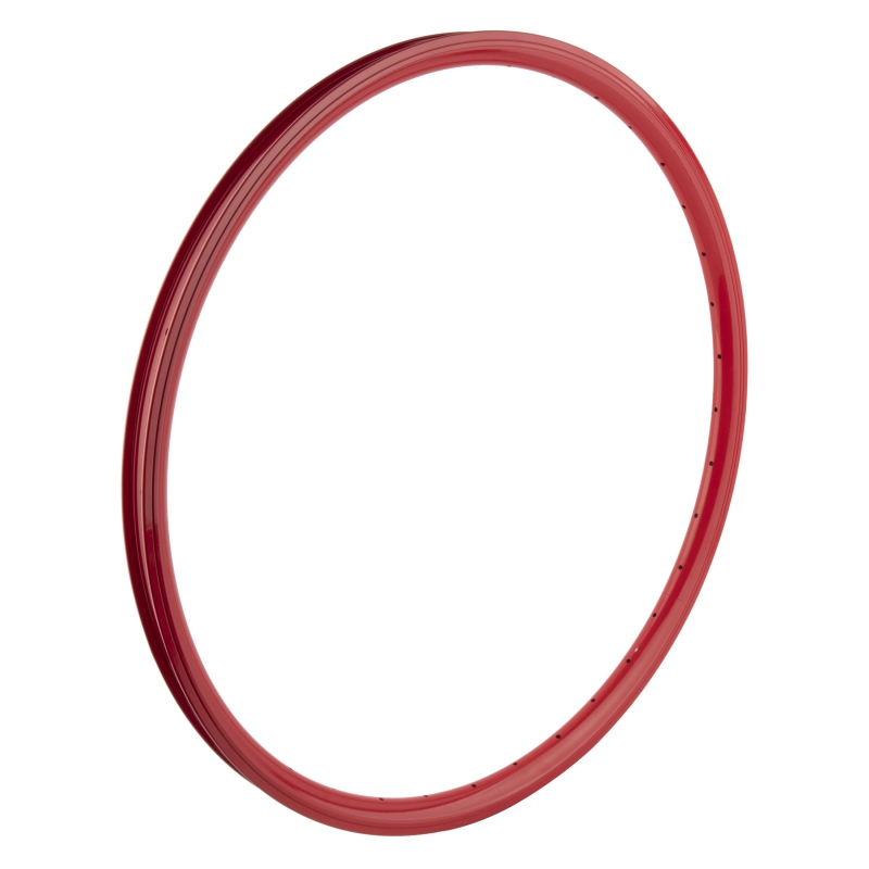 Se bikes J25SG 29in 36H Rim