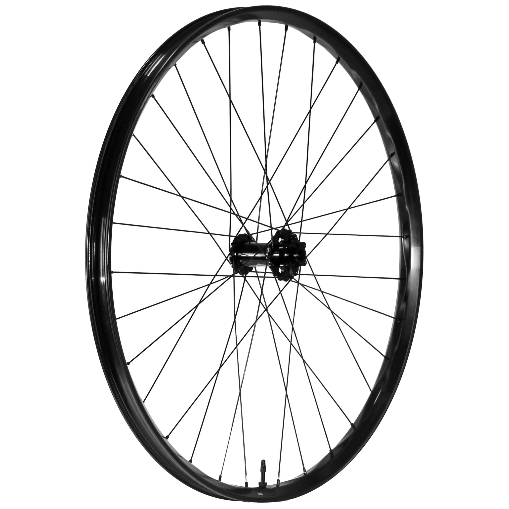 We Are One Deal 29" Front Wheel 15x110 Black