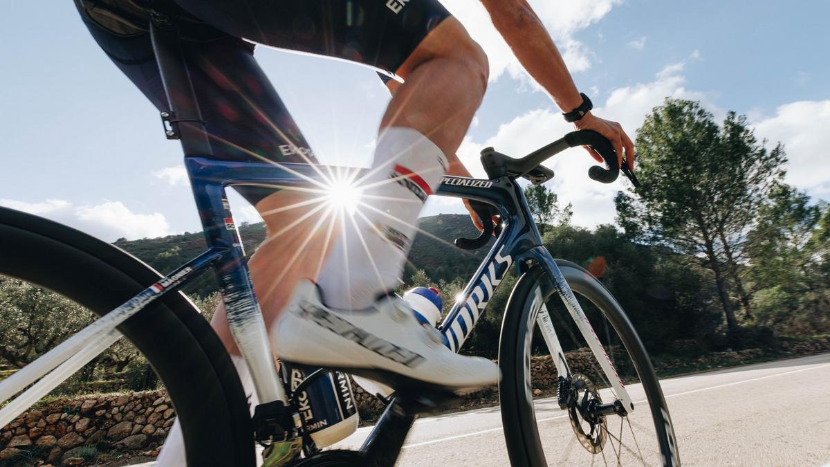 S-Works Tarmac SL8 Team Frameset - Soudal Quick-Step - Image 4