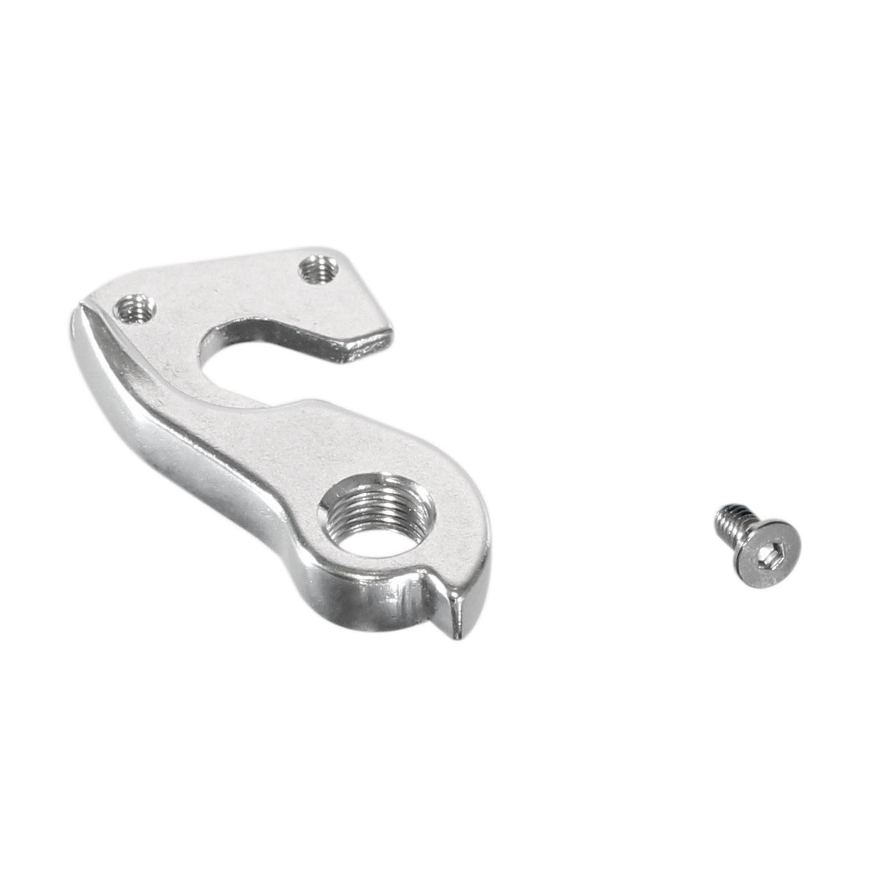 Ritchey Derailleur Hanger
