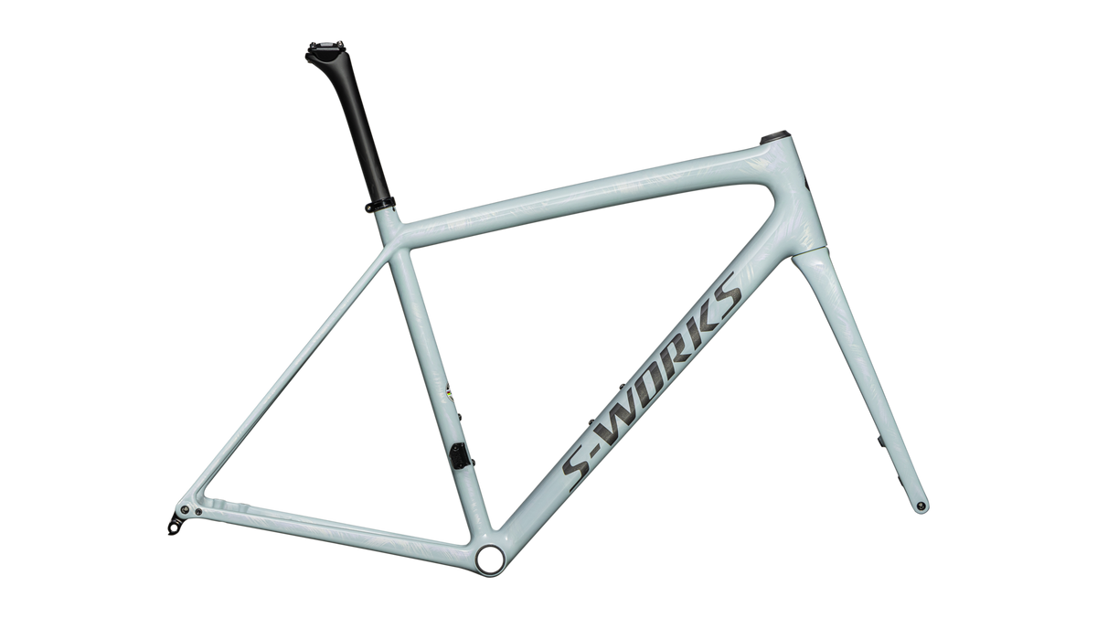 S-Works Aethos Frameset - FACT 12R Carbon variant 2