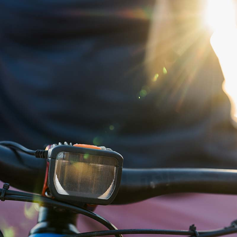 Trail Edition - Image 4