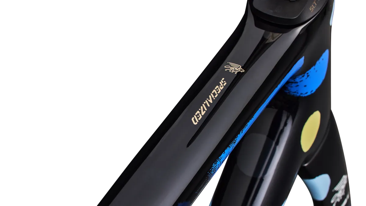 S-Works Tarmac SL8 Frameset LTD - Yoon Hyup - Image 4
