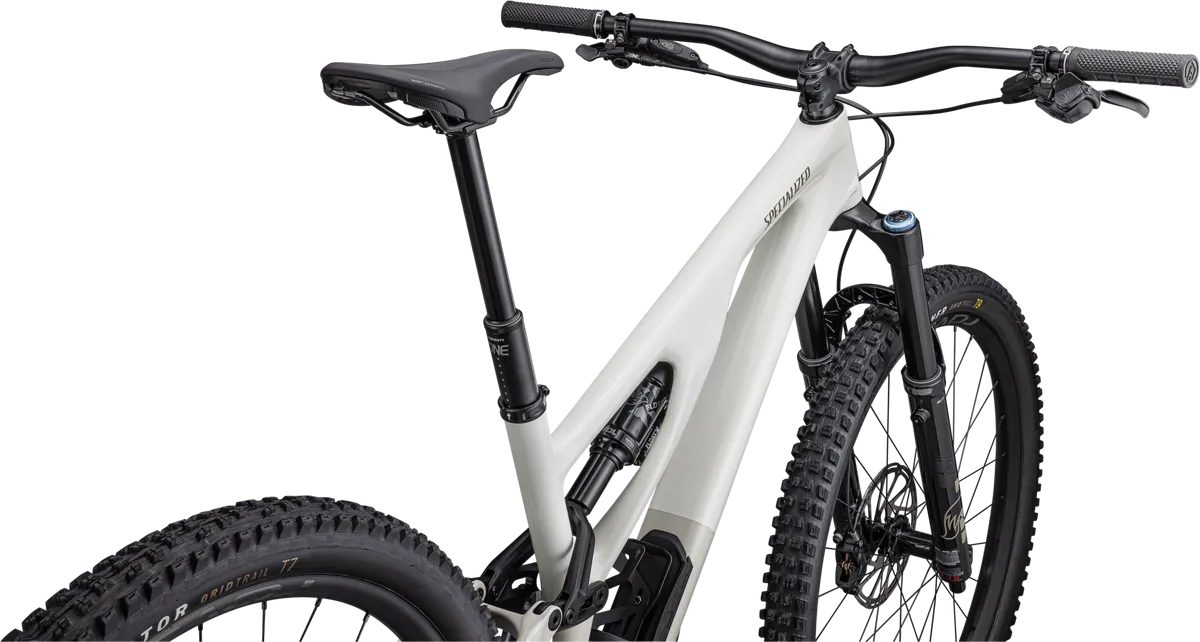 Stumpjumper EVO Expert - SRAM GX Eagle AXS, FOX Performance Elite - Image 9