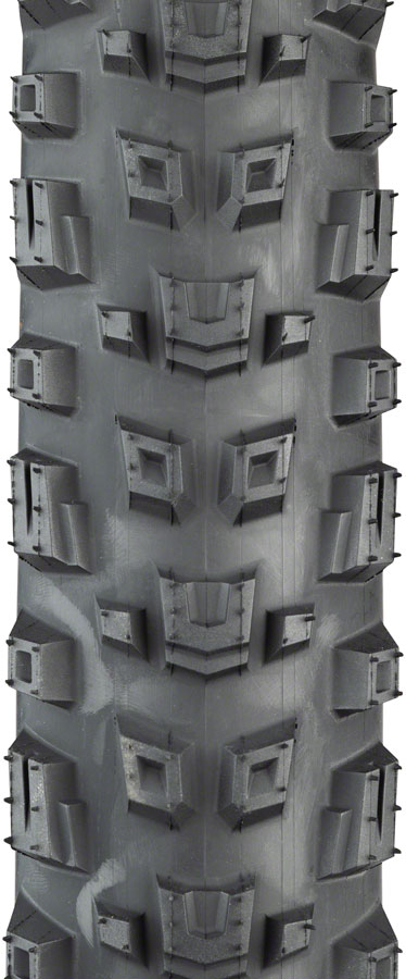 Teravail Warwick Tire - Tubeless Folding - Image 6