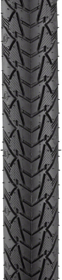 Continental Contact Plus Tire - Image 2