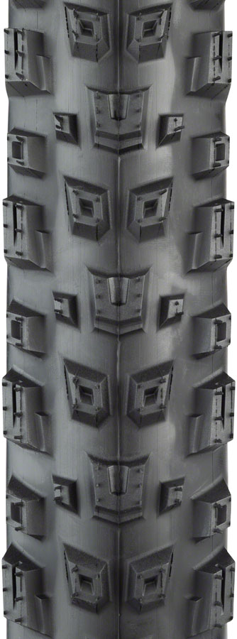 Teravail Warwick Tire - Tubeless Folding - Image 9