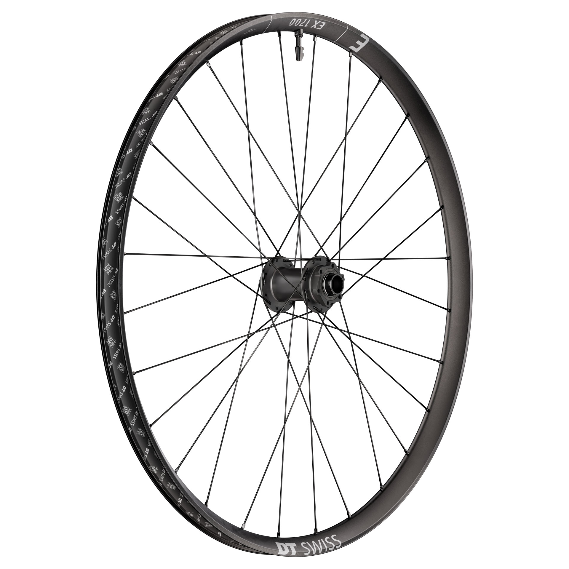 DT Swiss EX 1700 Classic Front Wheel 29" 20x110 Boost