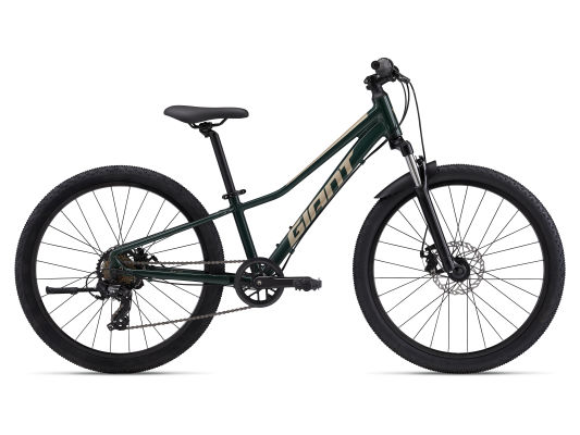 Talon 24 Disc (2025) - One Size - Trekking Green