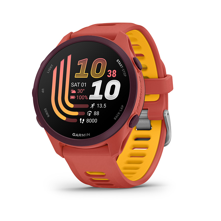 Garmin Forerunner 170 Music Watch Watch Color: Red Pink Wristband: RedPink/Mango - Silicone Garmin Forerunner 170 Music Watch Watch Color: Red Pink Wristband: RedPink/Mango - Silicone