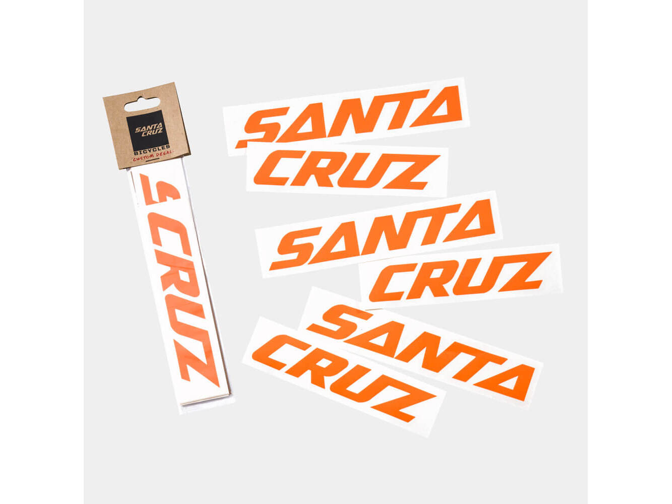 Santa Cruz Custom Downtube Decal variant 4