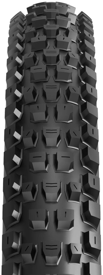 Maxxis Dissector II Tire - Image 2