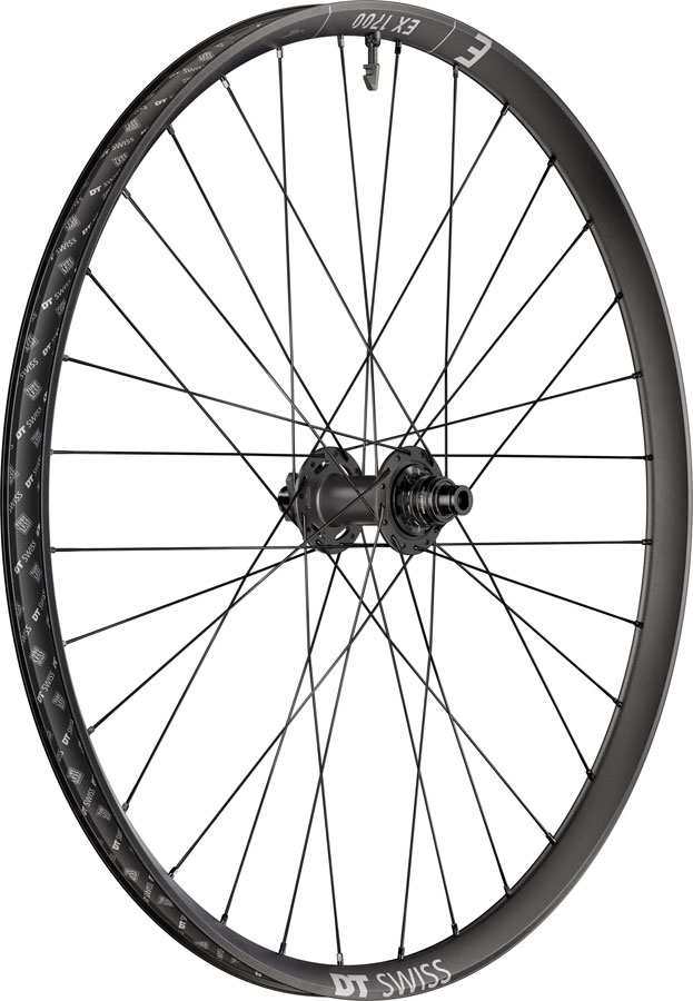 DT Swiss EX 1700 Classic 30 Rear Wheel - 29" 12 x 148mm 6-Bolt XD Slim DEG 72 DF BLK