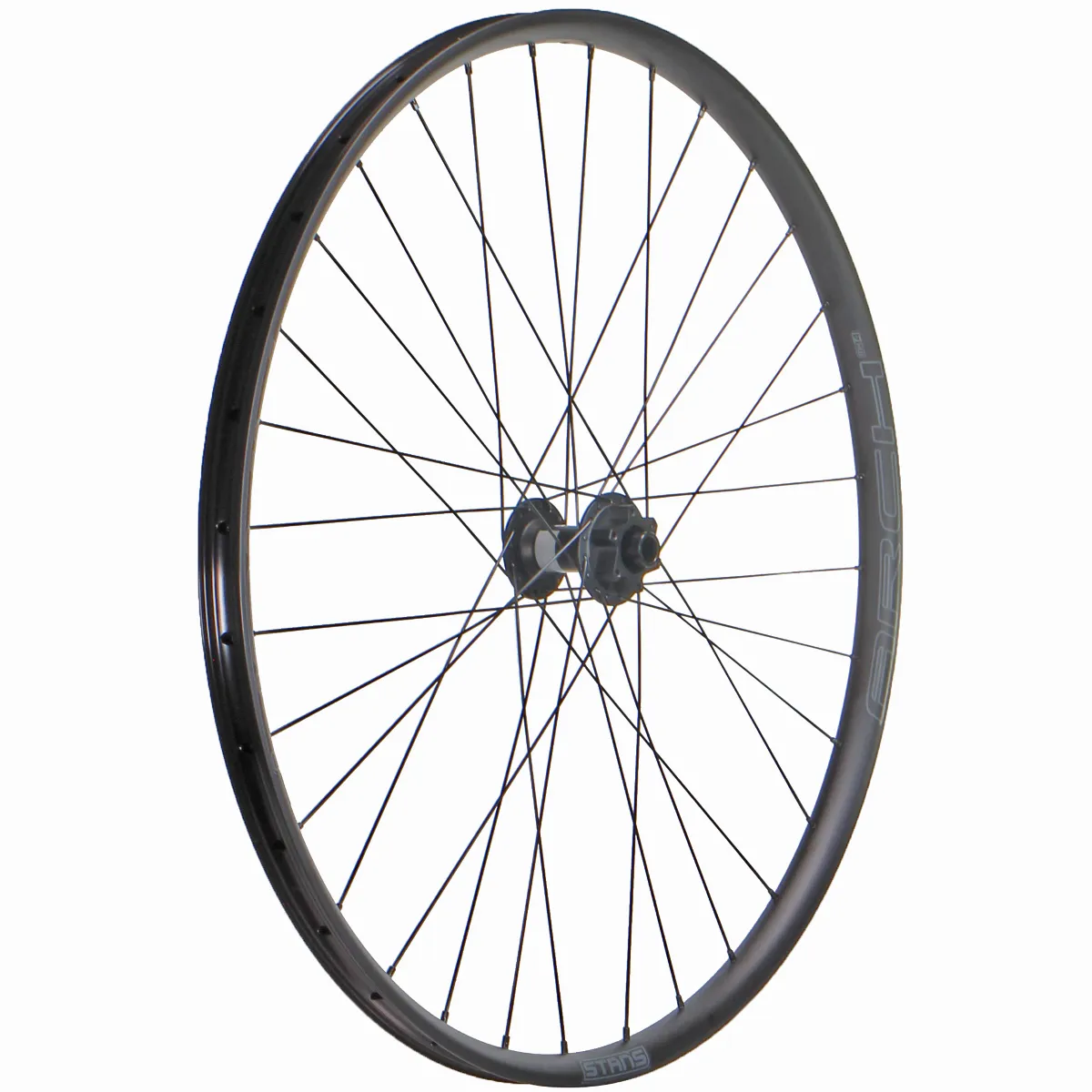 Wheel Factory Stan's Arch MK4 29" DT 370 15x100 IS