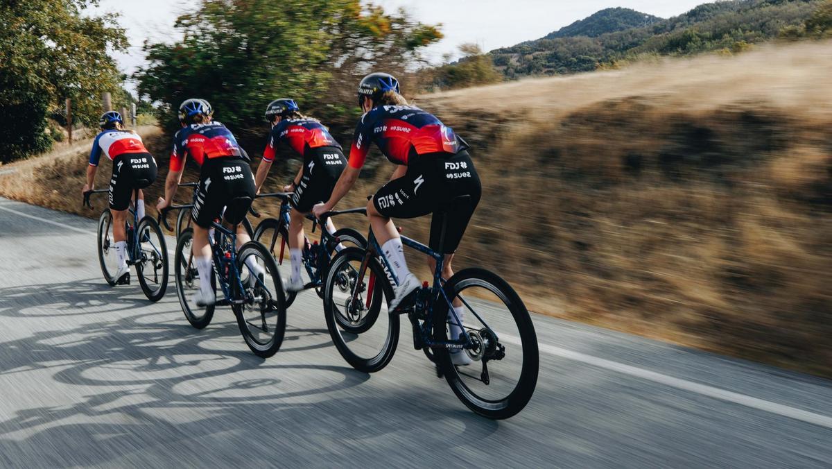 S-Works Tarmac SL8 Team Frameset - FDJ-SUEZ - Image 5