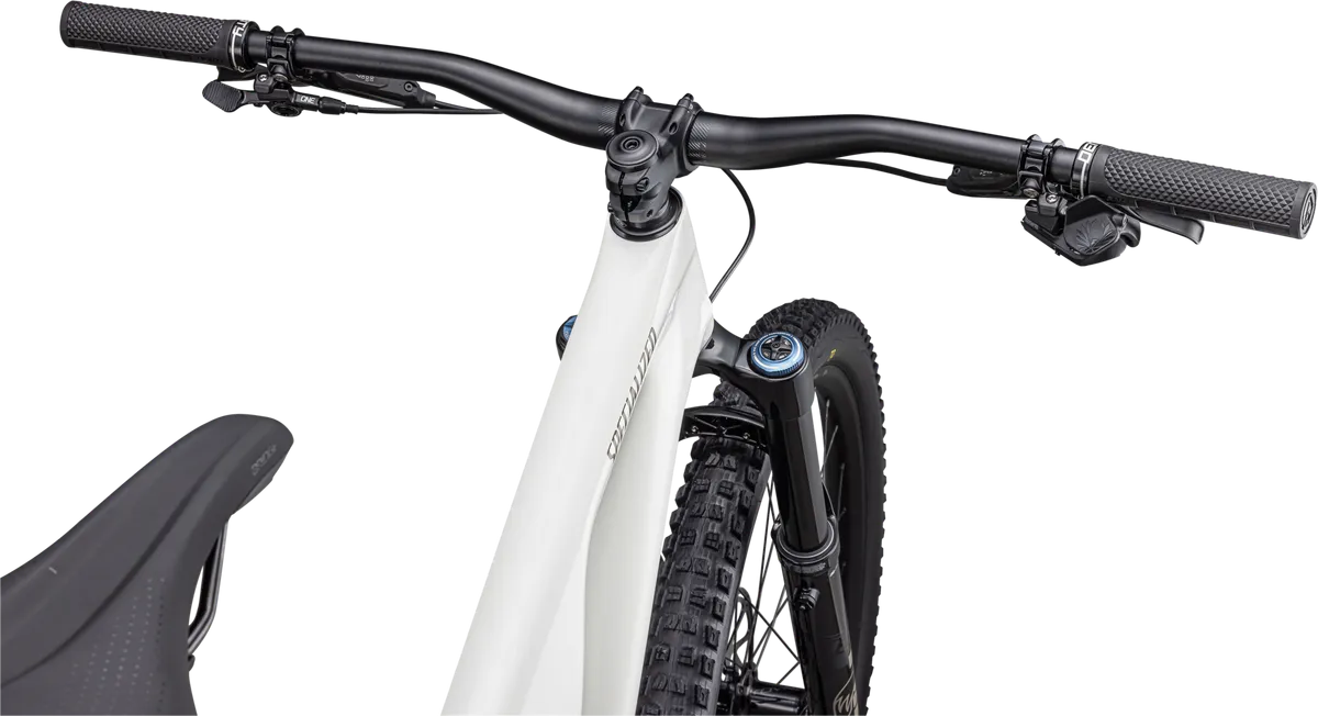 Stumpjumper EVO Expert - SRAM GX Eagle AXS, FOX Performance Elite - Image 10