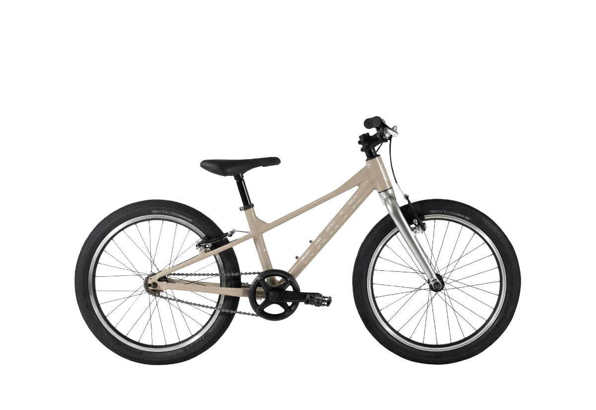Coast Trail 20" 1 variant 2