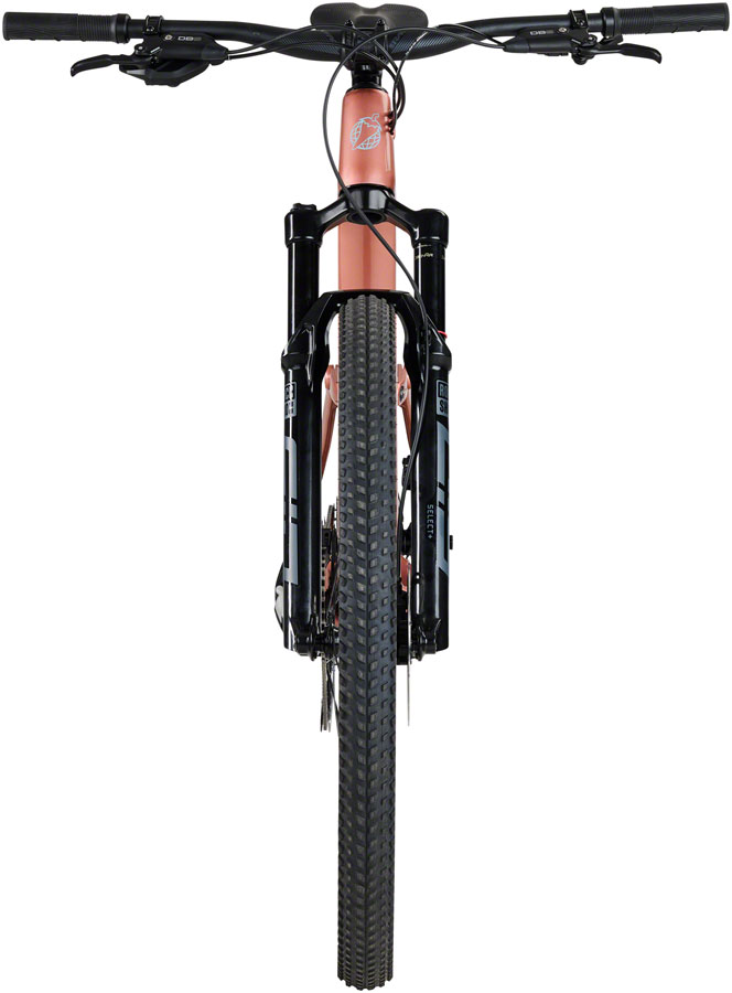 Salsa Spearfish C Eagle 90 Transmission Bike - 29", Carbon, Dusty Rose - Image 4