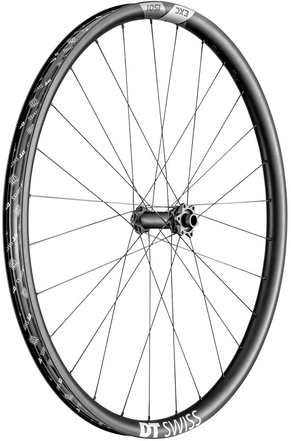 DT Swiss EXC 1501 Spline One Front Wheel - 15 x 110mm Boost, 6-Bolt, Black