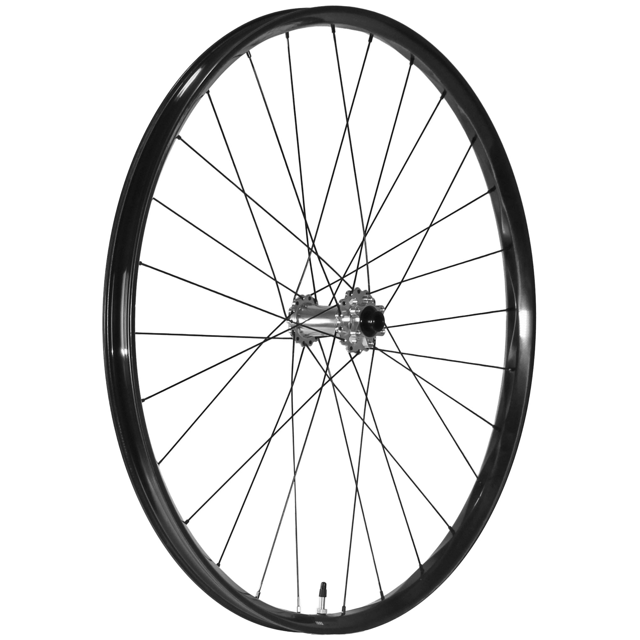 We Are One Triad 29" Front Wheel 15x110 Silver/Black