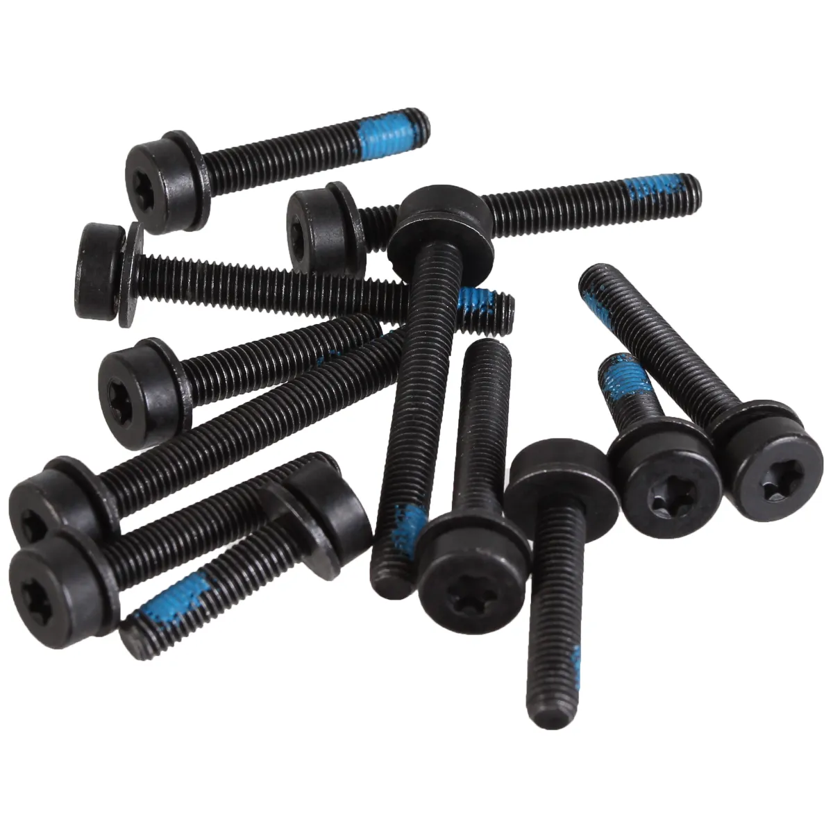 Magura T25 Flat Mount Screw Set Rear -12/Count Kit Magura T25 Flat Mount Screw Set Rear -12/Count Kit