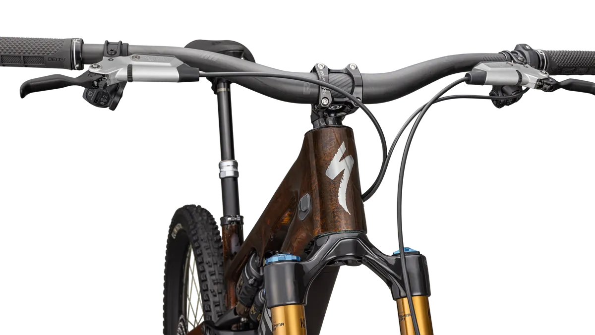 S-Works Turbo Levo SL 2 - Image 5