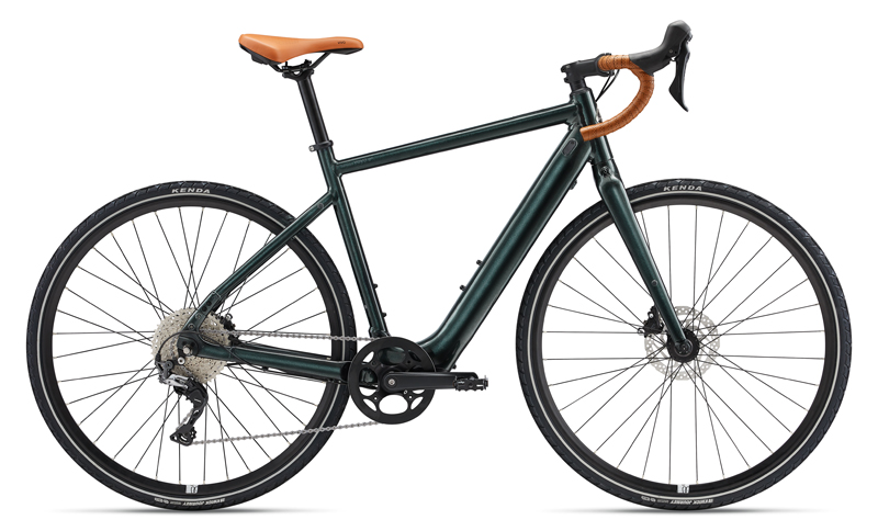 Momentum Voya E+1 20MPH variant 4