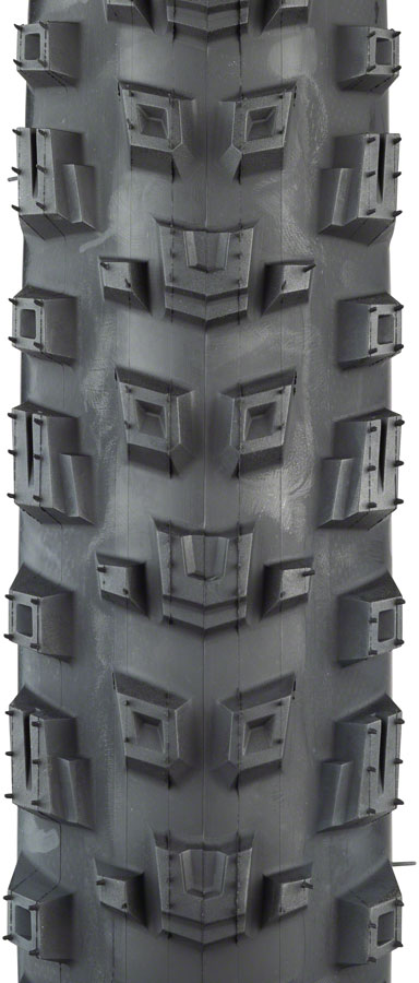 Teravail Warwick Tire - Tubeless Folding - Image 15