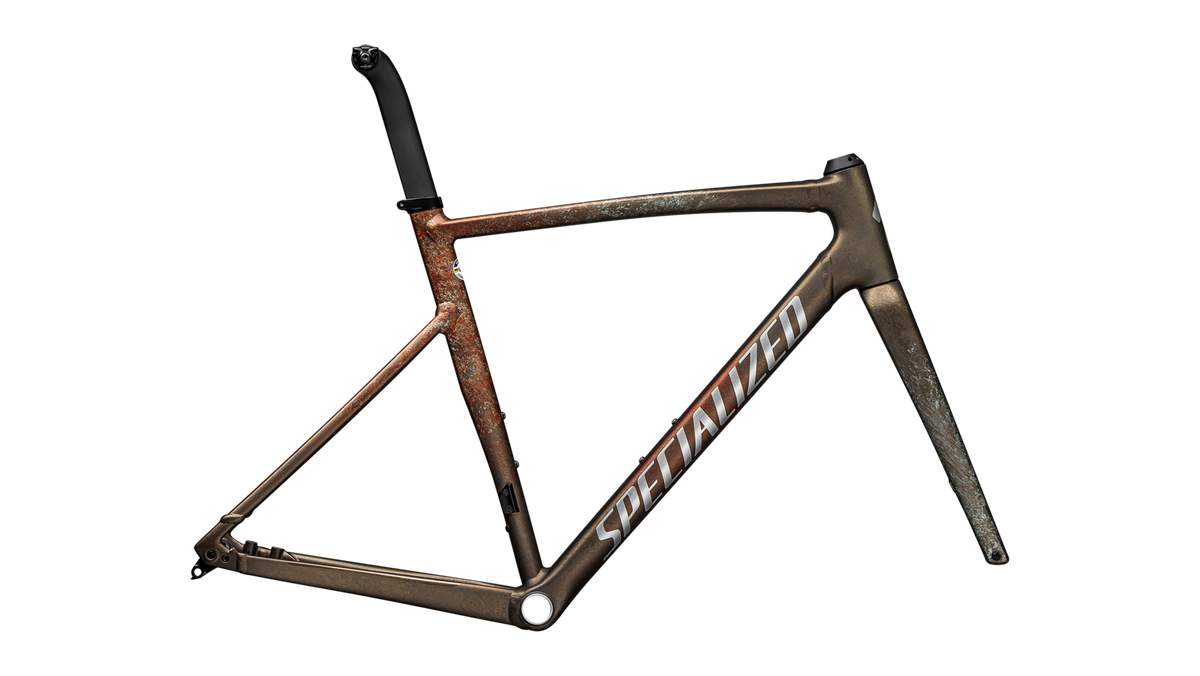 Allez Sprint Frameset - D'Aluisio Smartweld Alloy variant 3
