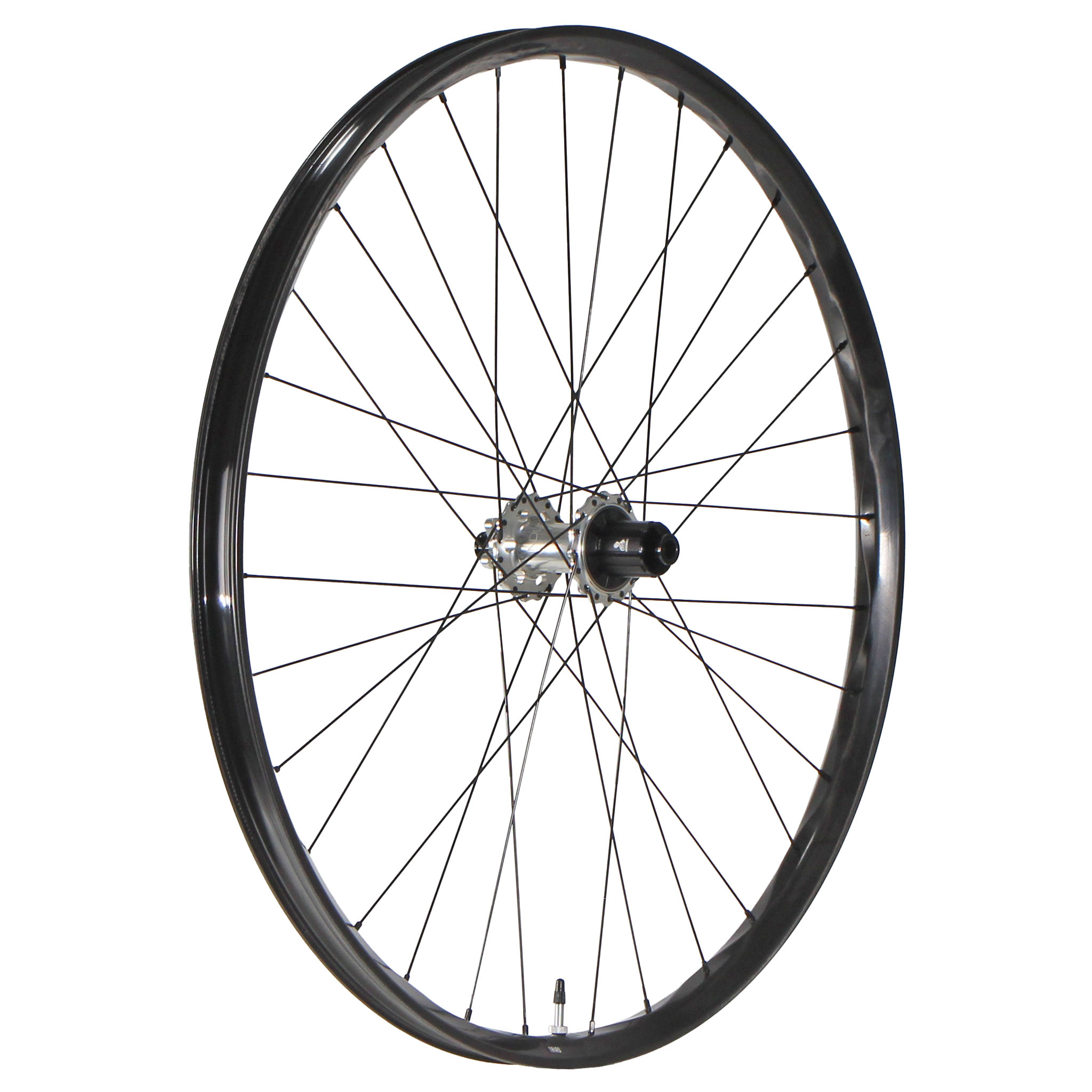 We Are One Triad 29" Rear Wheel 12x148 HG Silver/Black